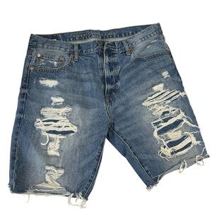 American Eagle Outfitters Men's Ripped Blue Jean Shorts